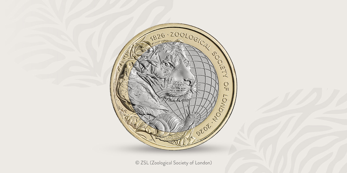 A Celebration of Conservation